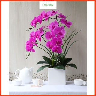 Hoa giả, bình hoa lan hồ điệp cao su đẹp giống thật để bàn trang trí nhà cửa sang trọng Anhome HL-03