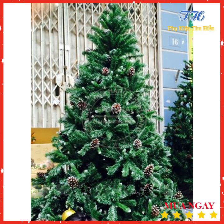 HỎA TỐC HCM Cây Thông Noel 3 Loại Lá Gắn Trái Thông 2m1, 2m4, 3m  Trang Trí Giáng Sinh