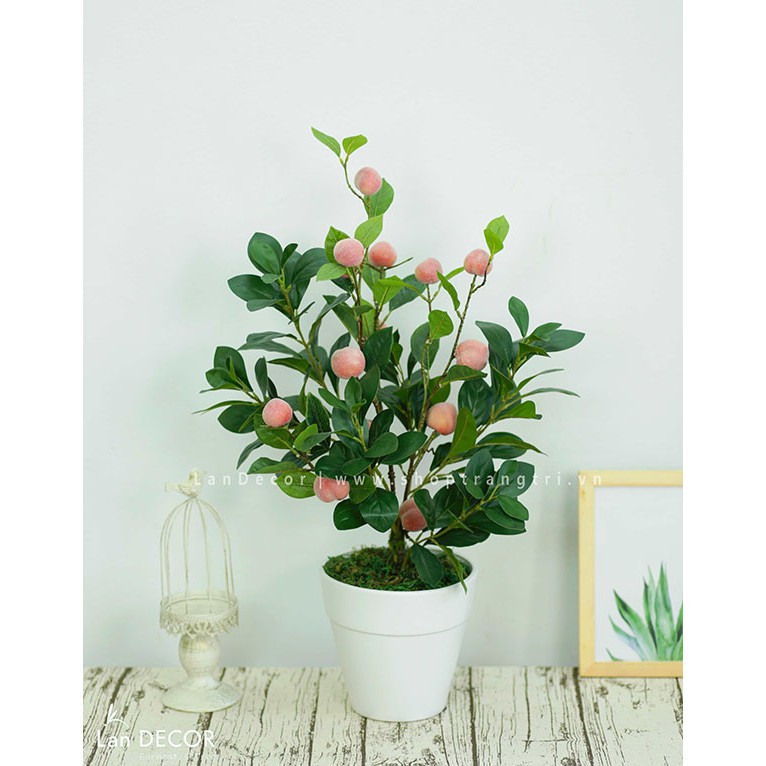 Cây giả - Cây chanh mỹ, đào, lê vàng, lê má hồng để bàn, trang trí tự nhiên như thật LanDecor | BigBuy360 - bigbuy360.vn