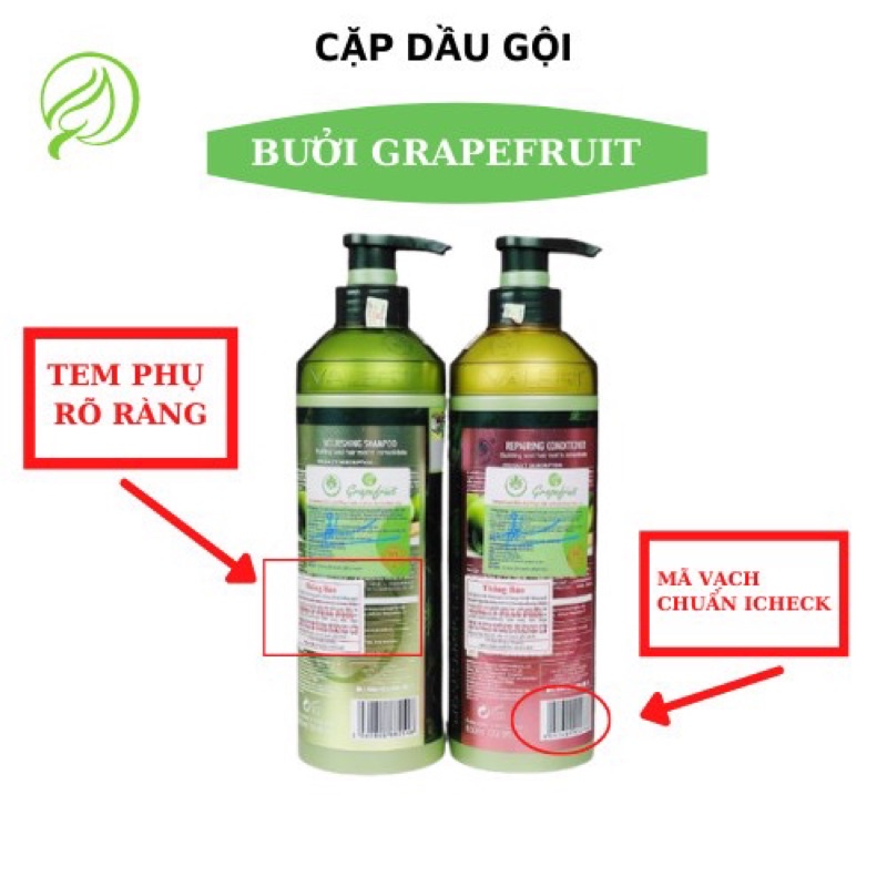 Cặp Dầu Gội Xả Bưởi GRAPEFRUIT PLUS Chống Rụng Tóc Phục Hồi Hư Tổn 850ml