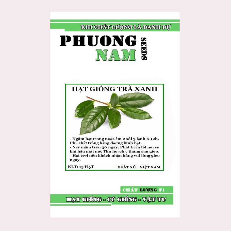 15H - HẠT GIỐNG TRÀ XANH