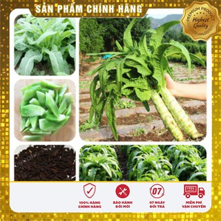 Hạt Giống Rau Diếp Tây (1gr)