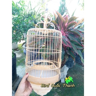 Lồng Vành Khuyên Tre