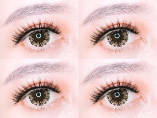 Lens puping có sẳn