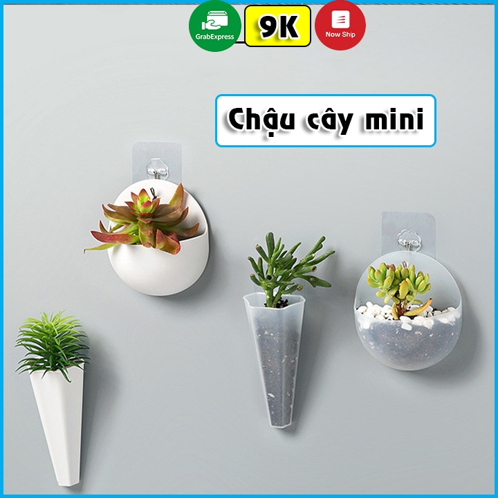 Chậu Cây Cảnh Mini Treo Tường Trang Trí  Phòng Tặng Kèm Móc Dán Tường