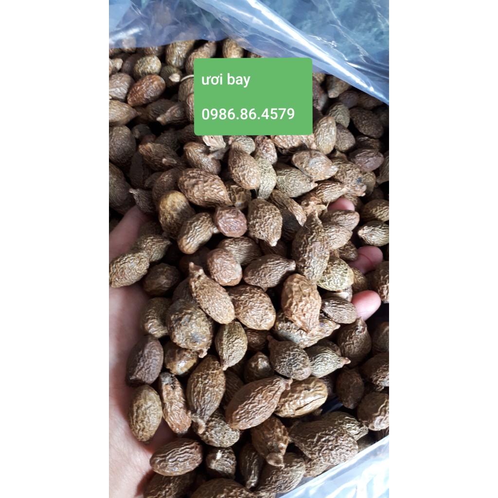 500gr Hạt ươi (hột đười ươi) Kon Tum hút chân không - tặng kèm hạt é | BigBuy360 - bigbuy360.vn