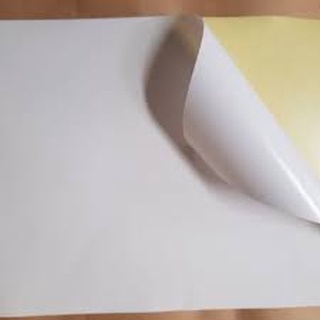 Decal Đế Vàng Amazon A4 - Tập 100 Tờ