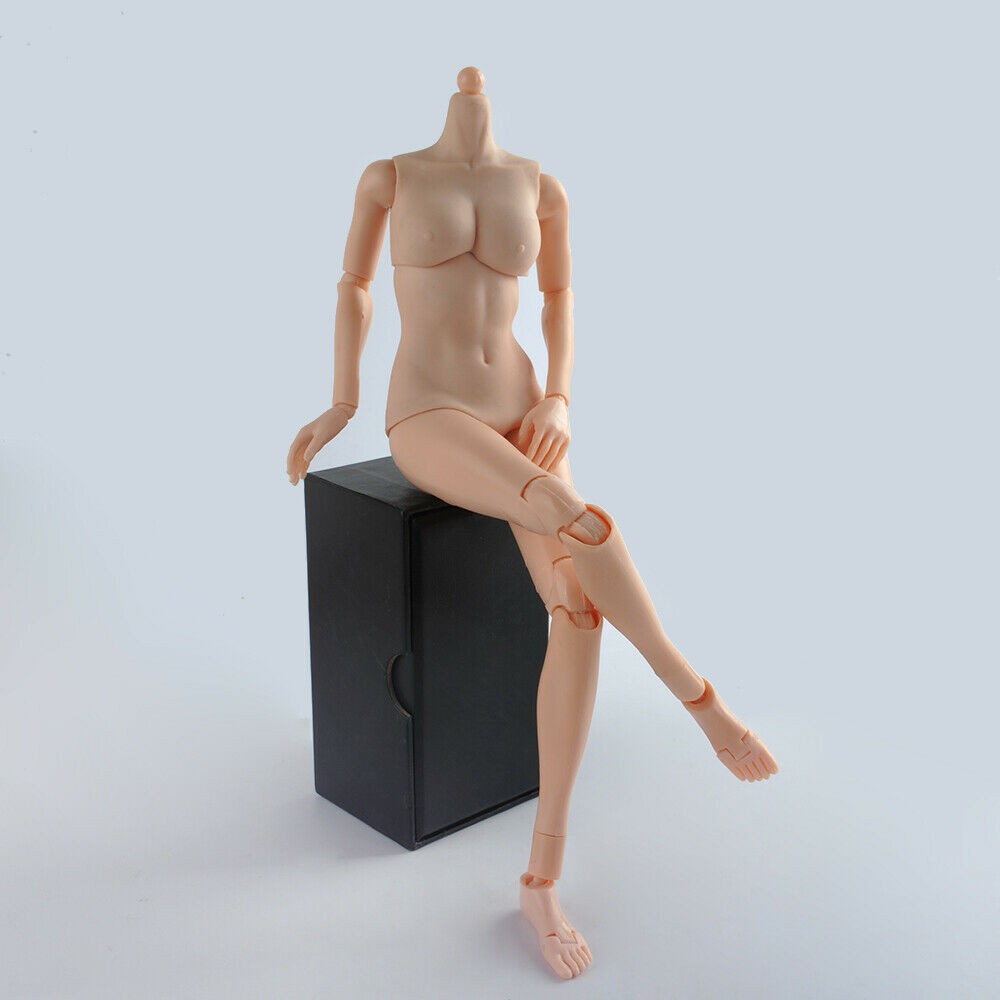 Mô Hình Cơ Thể Nữ 12 Inch Tỉ Lệ 1 / 6