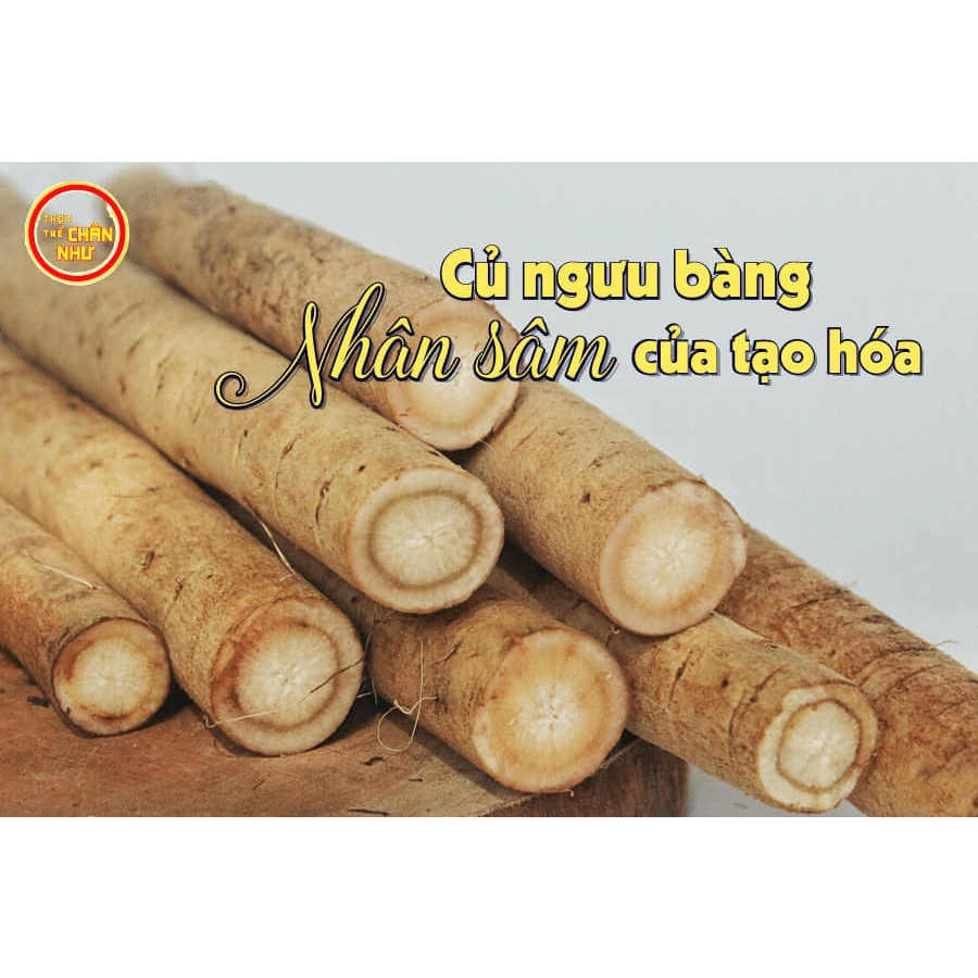Ngưu bàng Nhật 1kg