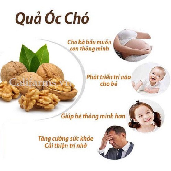 [Hộp 500gr] Mix 4 Loại Hạt Đã Tách Vỏ - Óc Chó Vàng- Mắc Ca -Hạnh Nhân- Hạt Điều