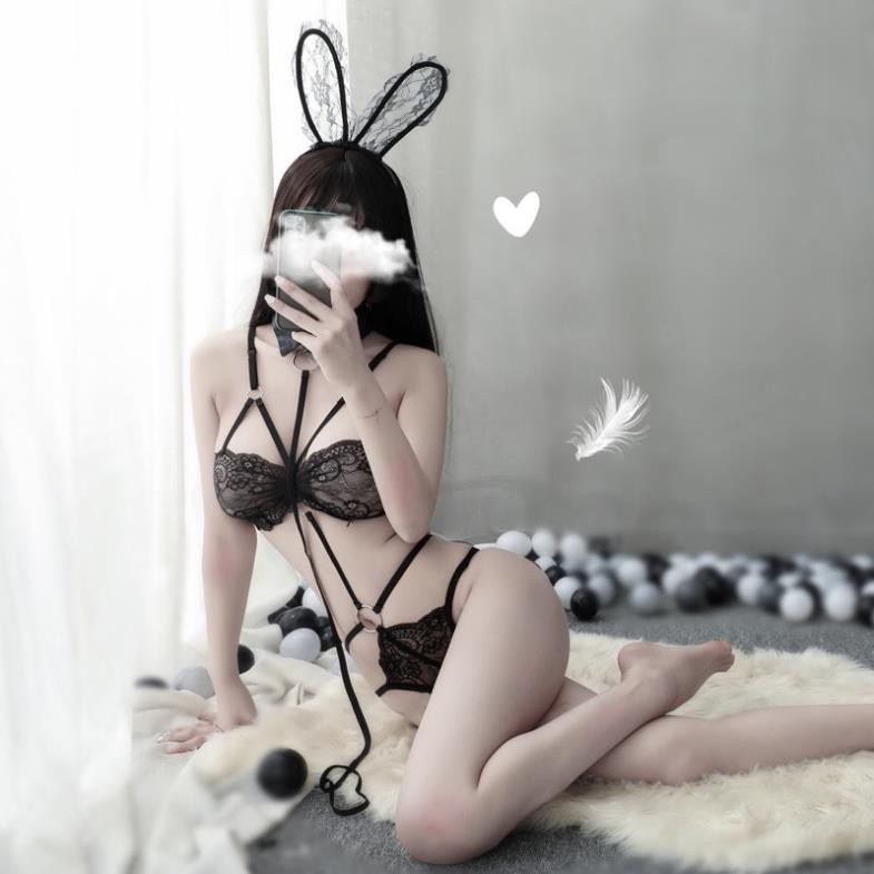 Bộ đồ lót sexy cosplay nàng thỏ gợi cảm kèm đầy đủ phụ kiện 1096