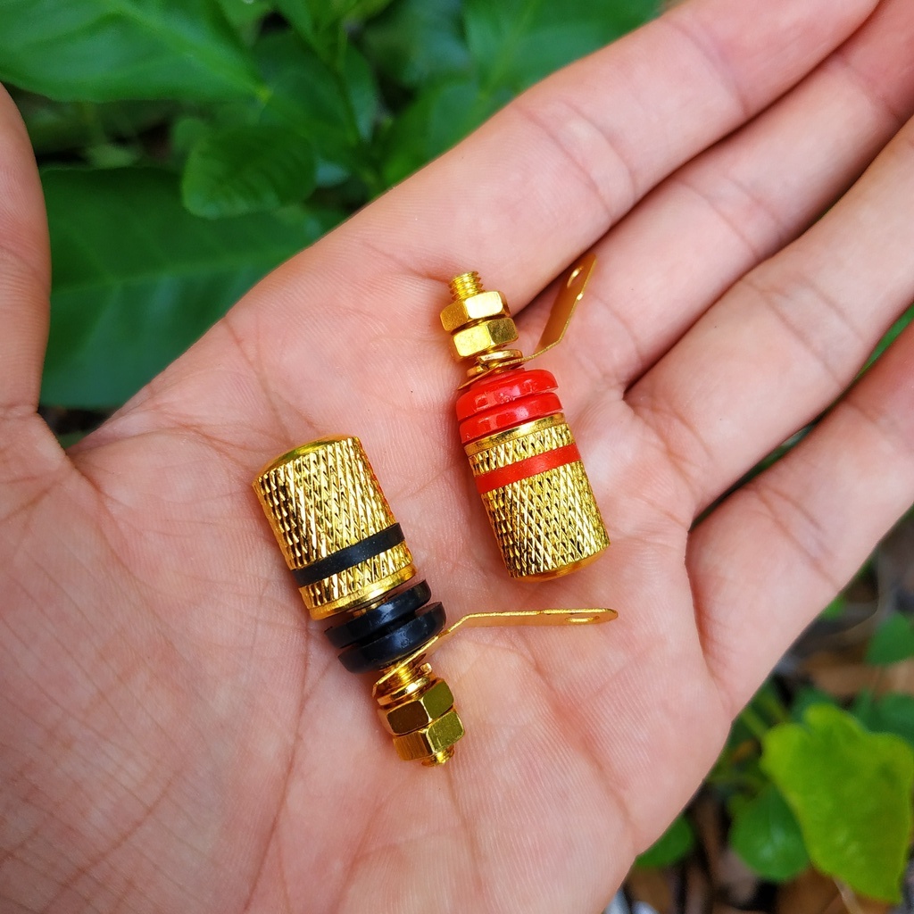 ✅  ⚡ Jack Bắp Chuối Mạ Vàng  4mm