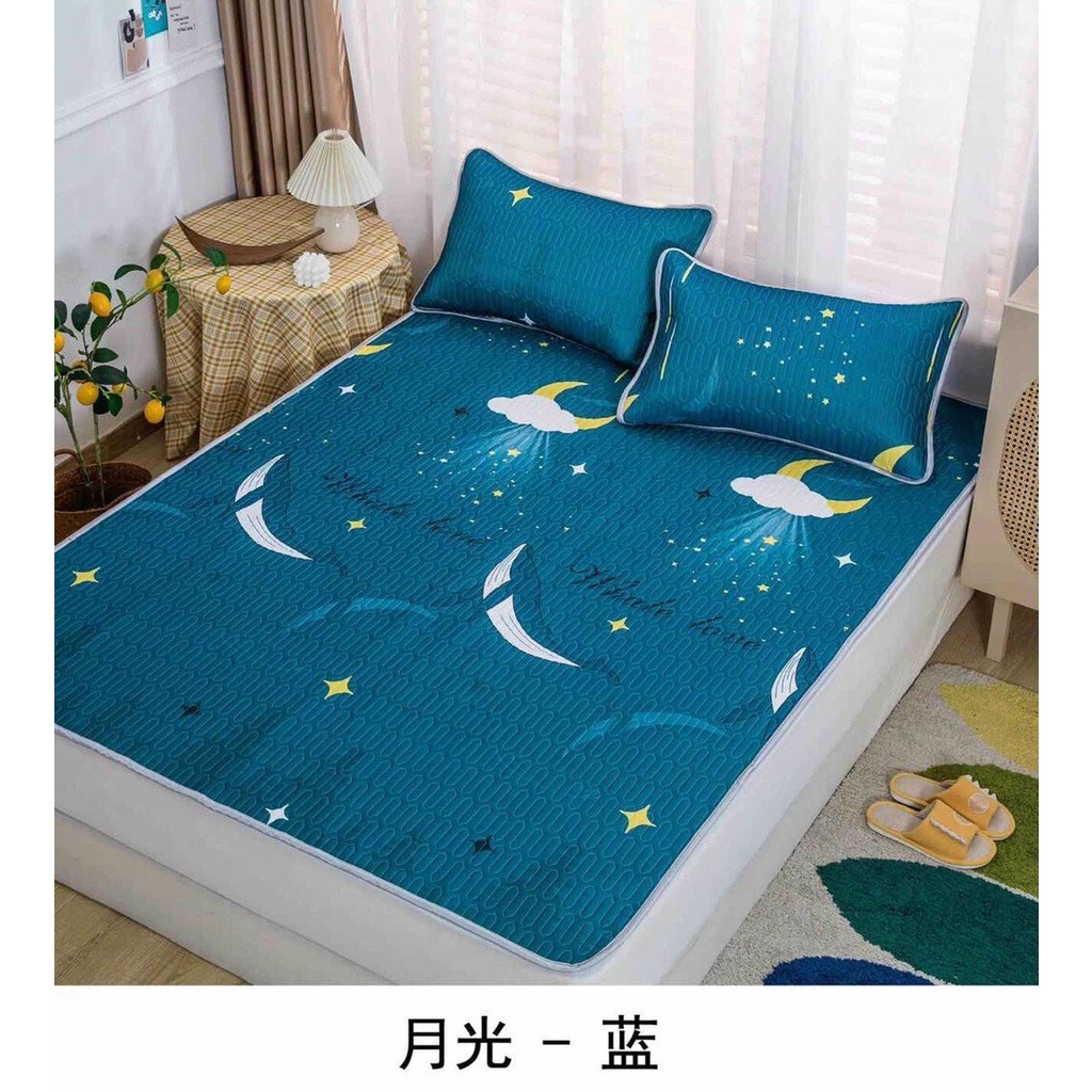 Chiếu điều hòa cao su non 3d Latex thông minh ga trải giường đủ size tặng 2 vỏ gối cùng màu có túi zip bọc nệm đệm đẹp