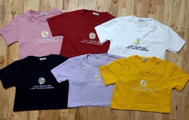 ÁO CROPTOP NỈ CUA FORM RỘNG | BigBuy360 - bigbuy360.vn