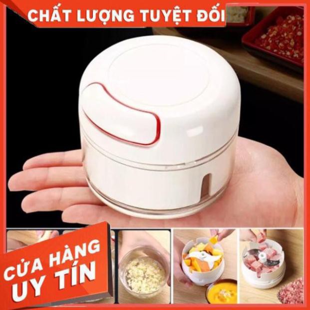 Dụng Cụ Xay Tỏi Ớt Cầm Tay Đa Năng ❤️Hàng Loại 1❤️ Xay tỏi ớt nhanh chóng Và Dễ Dàng