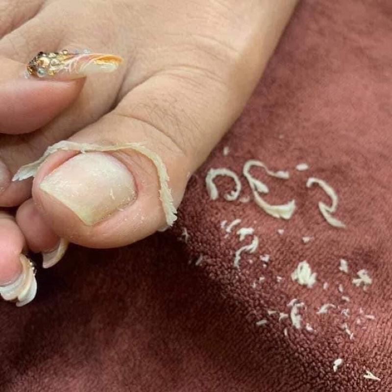 Kìm AAA - phụ kiện nail