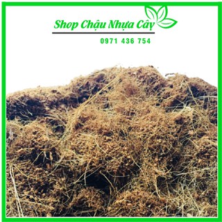 Mùn Xơ Dừa Trông Cây