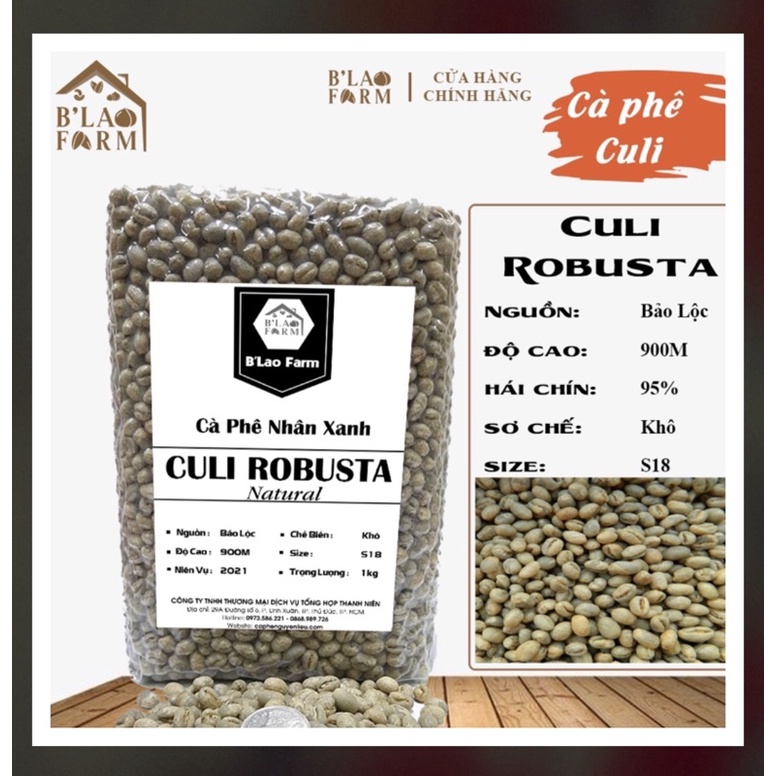 Cà phê nhân xanh Culi Robusta, hạt to đều, cà phê sạch chưa rang [Túi 1kg ]