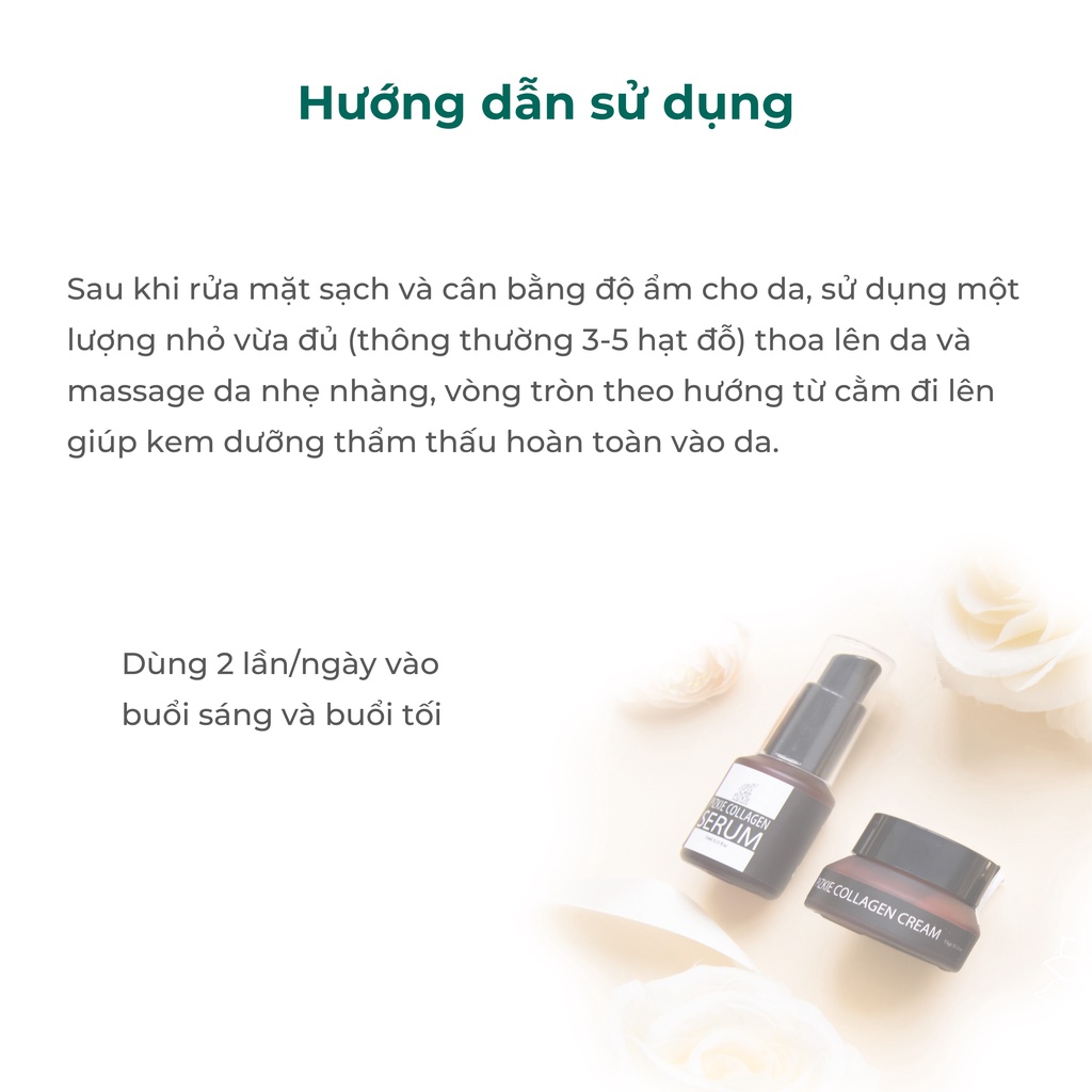 [Mã LTP50 giảm 50000 đơn 150000] Kem Dưỡng Trẻ Hóa, Tái Tạo Da Pizkie Collagen Cream Chống Lão Lóa Dưỡng Da Tươi Sáng