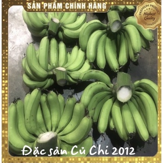 [Nhà trồng] Chuối già sống dùng nấu đặc sản Củ Chi