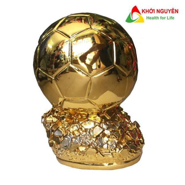 Cúp lưu niệm bóng đá Màu Vàng Bạc Đồng