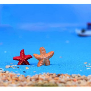 Sao biển mini - Phụ kiện tiểu cảnh, chậu cây, hồ cá, mô hình trang trí