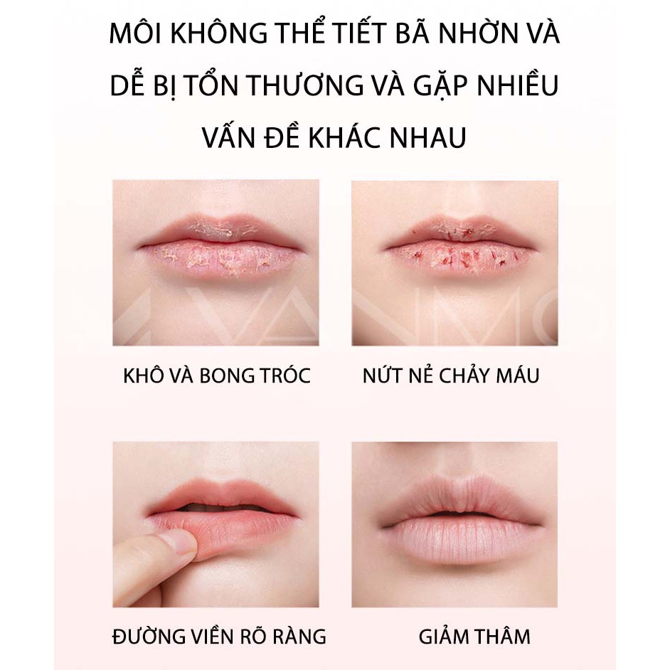 Mặt Nạ Môi Dưỡng Ẩm Môi Tẩy Tế Bào Chết Phục Hồi Môi Thâm (HD: 2022)