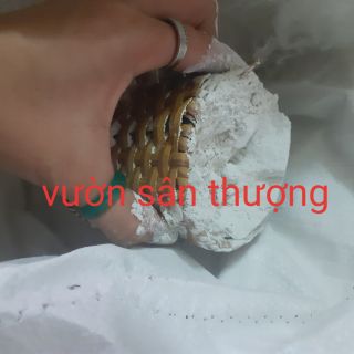 Vôi Bột Nông Nghiệp 1 kg, Bón Cây, Cải Tạo Đất, Khử Phèn, Sát Trùng Ao Chuồng Trại