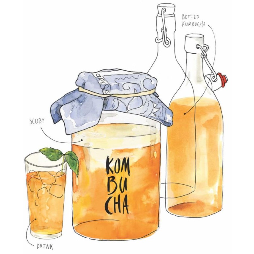 Cân sức khỏe BC859 TANITA Màu Hồng Viet Healthy