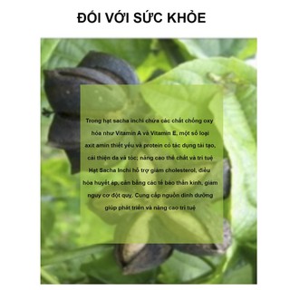 Hạt sacha inchi 150g
