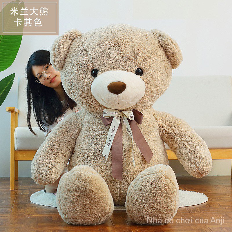 Gấu Teddy Nhồi Bông Dễ Thương 80cm / 31.5inch