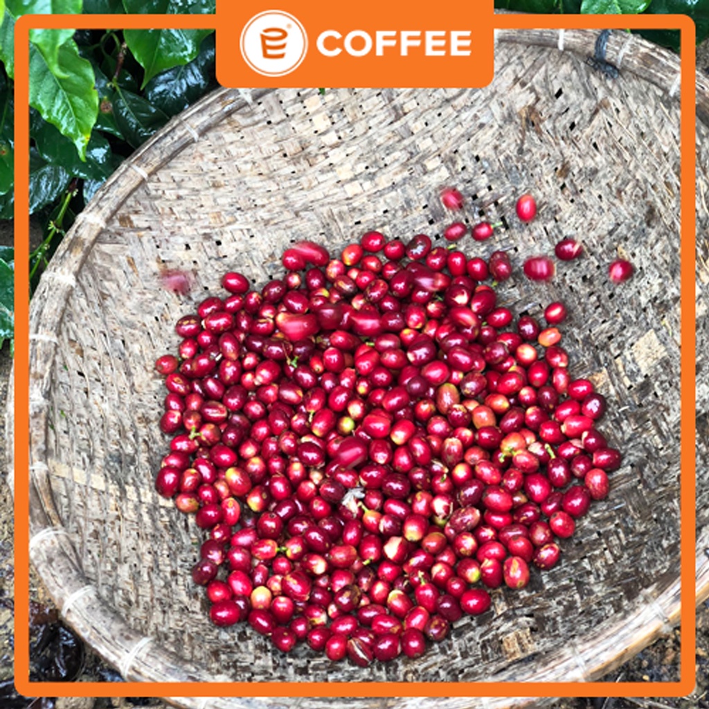 Cà phê cafe pha phin E COFFEE 500G, sản phẩm cafe nguyên chất pha phin truyền thống từ cafe Robusta và Arabica rang mộc | BigBuy360 - bigbuy360.vn