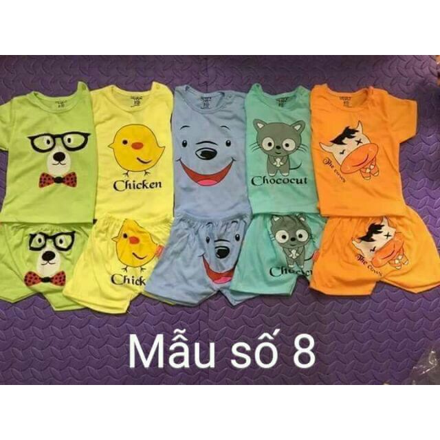 Set 5 bộ quần đùi