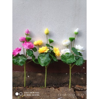 hoa sen giả - hoa sen lụa cao cấp