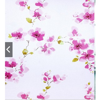 Decal giấy dán kính hoa mai đỏ