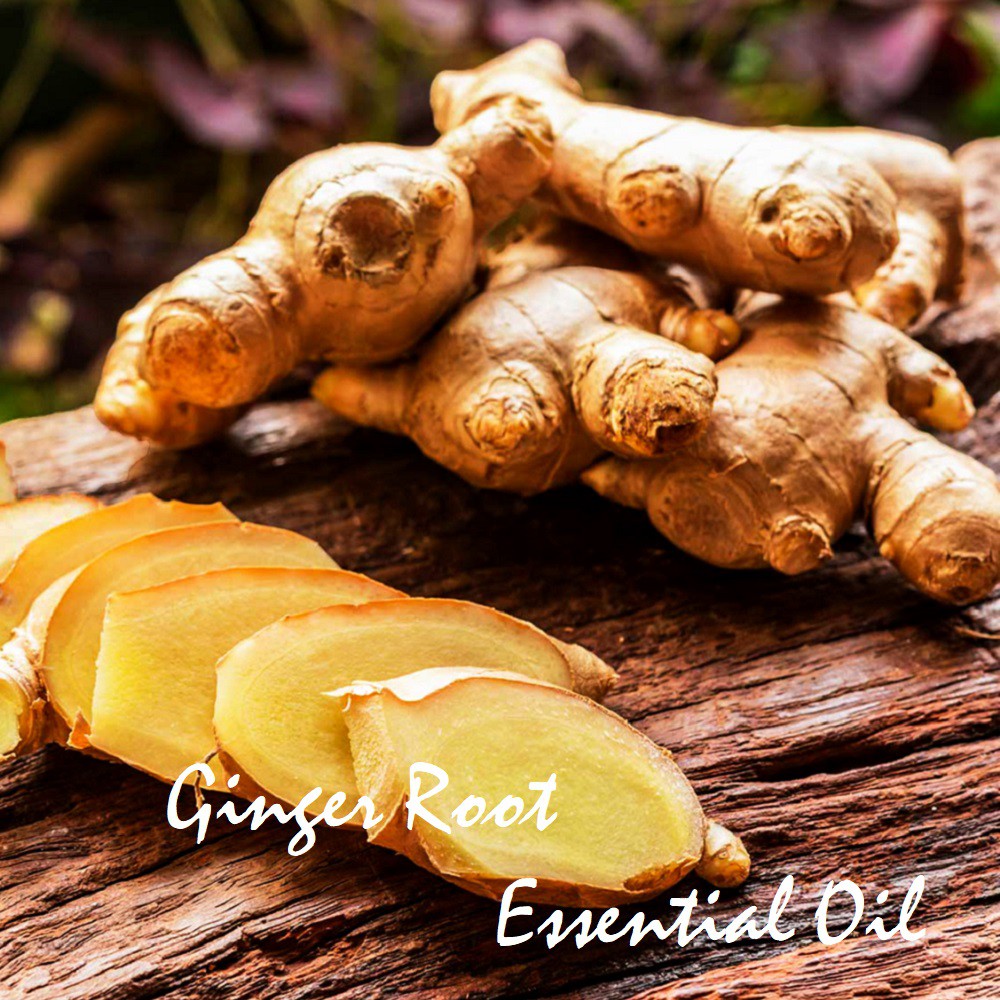 Tinh dầu gừng Ginger Essential Oil