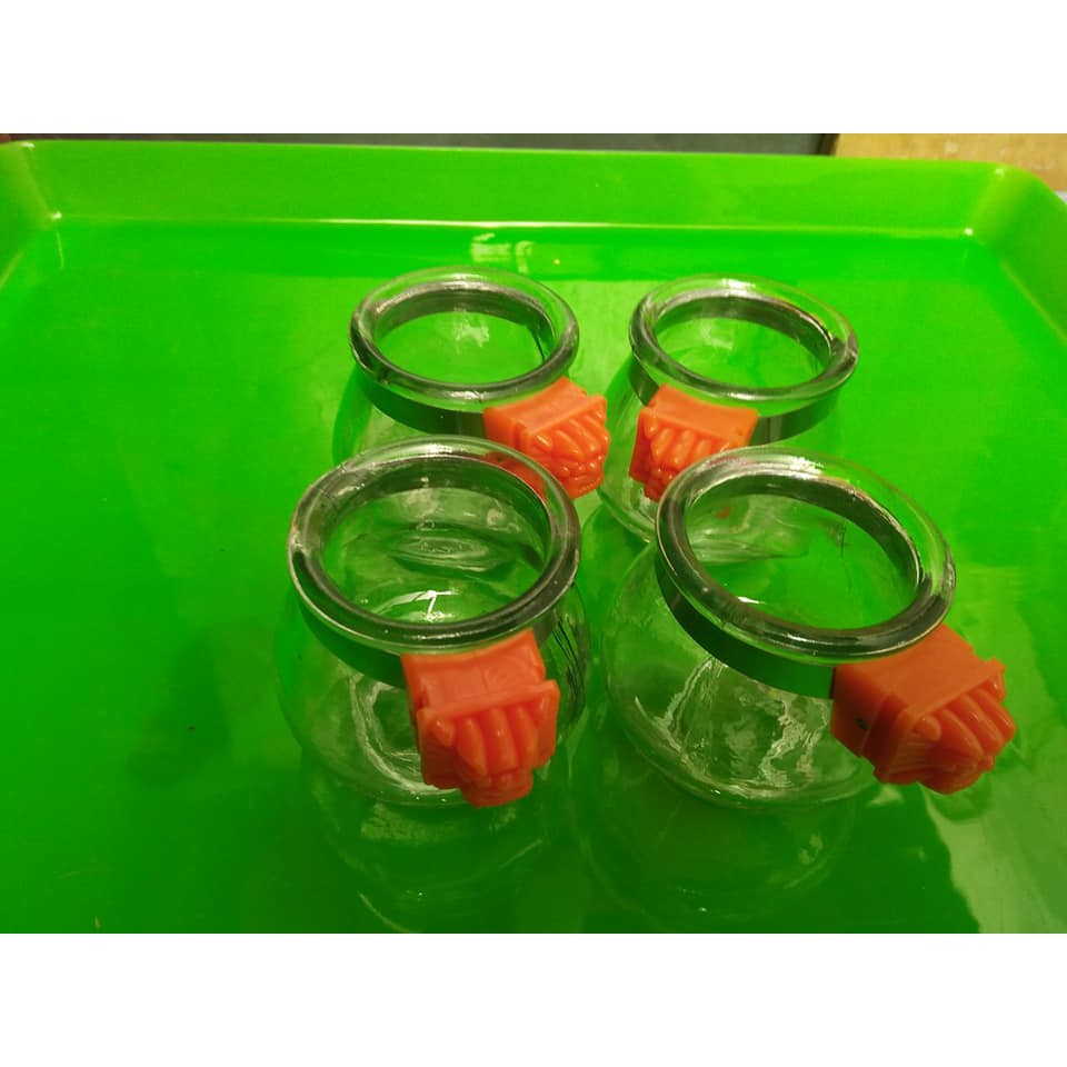 Combo 4 Cóng ăn thủy tinh dành cho tất cả các loại chim