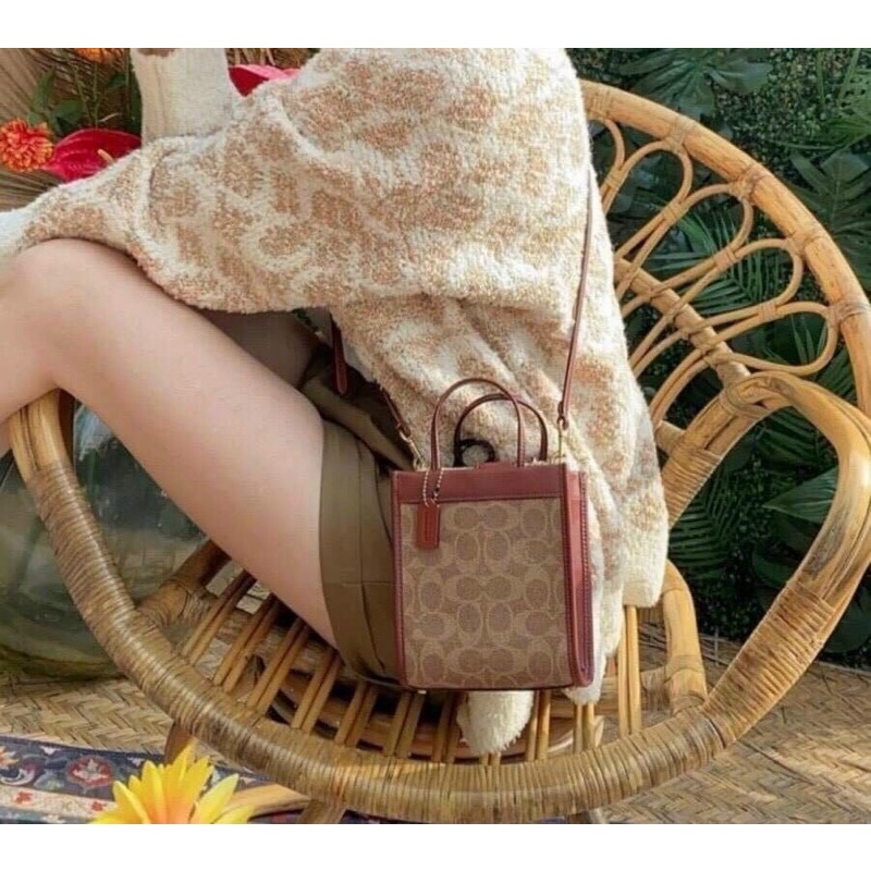Túi coach mini