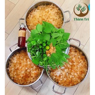 Siro ho Thiên Tri