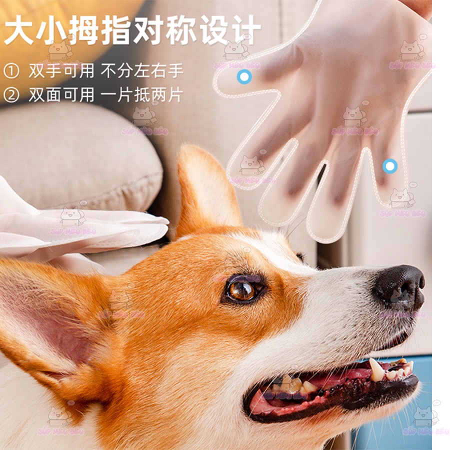 Gói 6 cái Bao Tay Tắm Thơm Wipex Cho Cún Mèo Kiêng Nước, Ghét Tắm