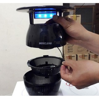 Đèn bắt muỗi Violeds Koala KL2-IH2 Hàn quốc