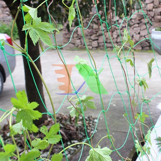 Combo 20 lưới làm giàn 3,6x1,8m