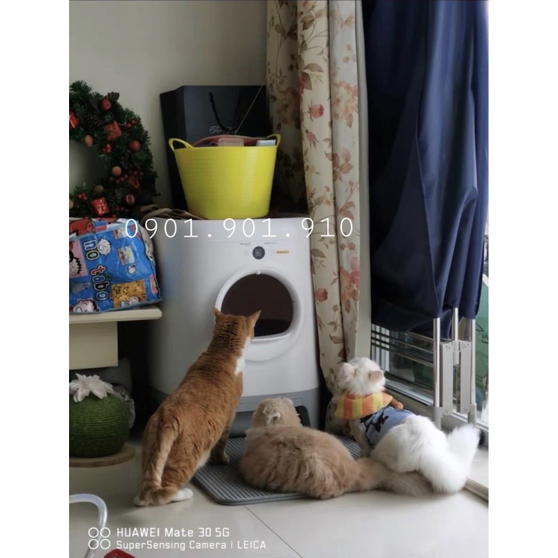 Máy vệ sinh tự động Petkit Pura X - Máy dọn vệ sinh mèo tự động PuraX