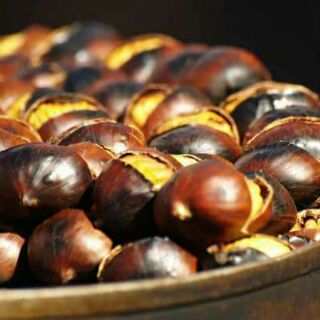 Combo 4kg hạt dẻ tươi CAO BẰNG