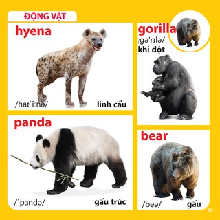 Bách Khoa Toàn Thư Cho Bé - Động Vật