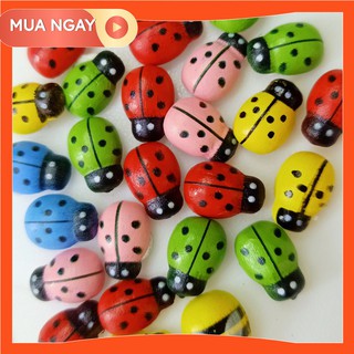 Bọ rùa ngũ sắc trang trí terrarium, chậu cây cảnh, cây bonsai, sen đá, xương rồng, cây cảnh mini, cây để bàn