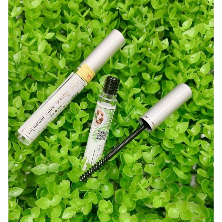 𝐃𝐔̛𝐎̛̃𝐍𝐆 𝐌𝐎̣𝐂 𝐃𝐀̀𝐈 , 𝐃𝐀̀𝐘 𝐌𝐈  - 𝗸𝗶́𝗰𝗵 𝗺𝗶 𝗺𝗼̣𝗰 𝗱𝗮̀𝗶, 𝗱𝗮̀𝘆, 𝗺𝗶 𝗰𝗼𝗻𝗴 𝗱𝗮̀𝗶 𝘃𝘂̛𝗼̛̣𝘁 𝘁𝗿𝗼̣̂𝗶 đ𝗲𝗻 𝘀𝗮̣̂𝗺 𝗺𝗮̀𝘂 𝗹𝗲̂𝗻 𝗿𝗼̃ 𝗿𝗲̣̂𝘁