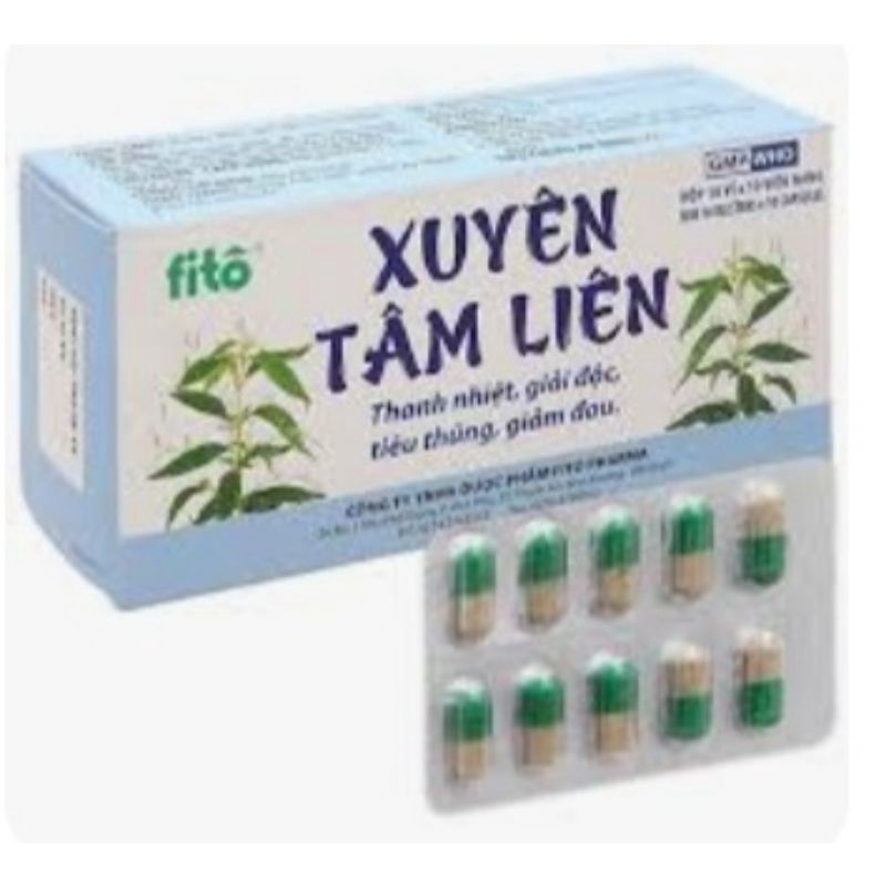 XUYÊN TÂM LIÊN fito. Hộp 100 viên