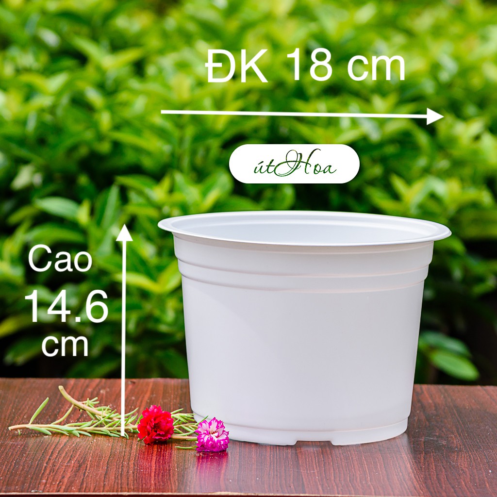 [ Sỉ từ 20 cái] Chậu nhựa trắng T18 (18x14.6 cm) trồng cây, trồng hoa cao cấp