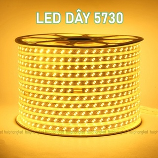 Led quấn cây Đèn Led Dây 5730 Lõi Đồng Siêu Chống Nước Led Dây Trang Trí Quấn Cây Hắt Trần Trang Trí Cây Nêu Tết